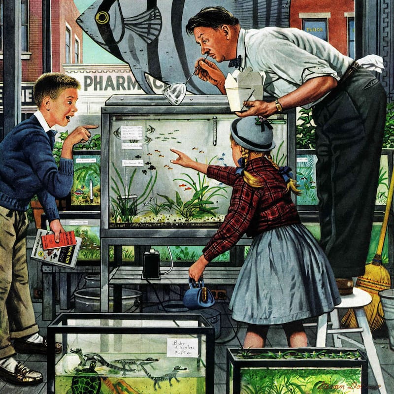Marmont Hill - 'Fish Aquarium' by Stevan Dohanos Painting Print on Canvas - Multi-Color