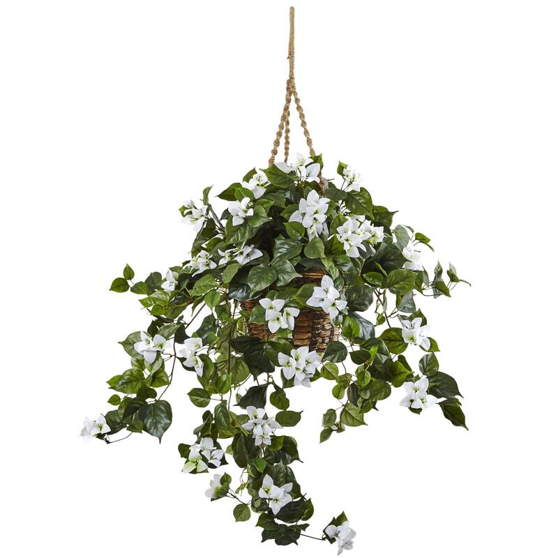 Bougainvillea 28-inch Hanging Basket