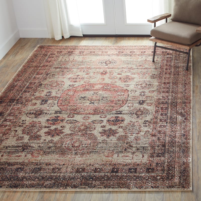 Alexander Home Contessa Traditional Medallion Distressed Rug