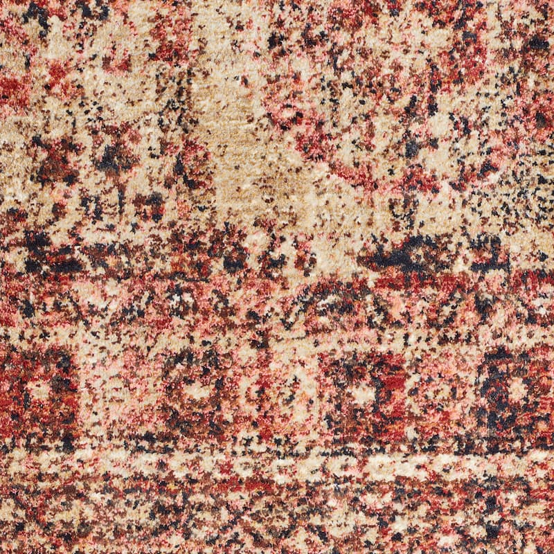 Alexander Home Contessa Traditional Medallion Distressed Rug