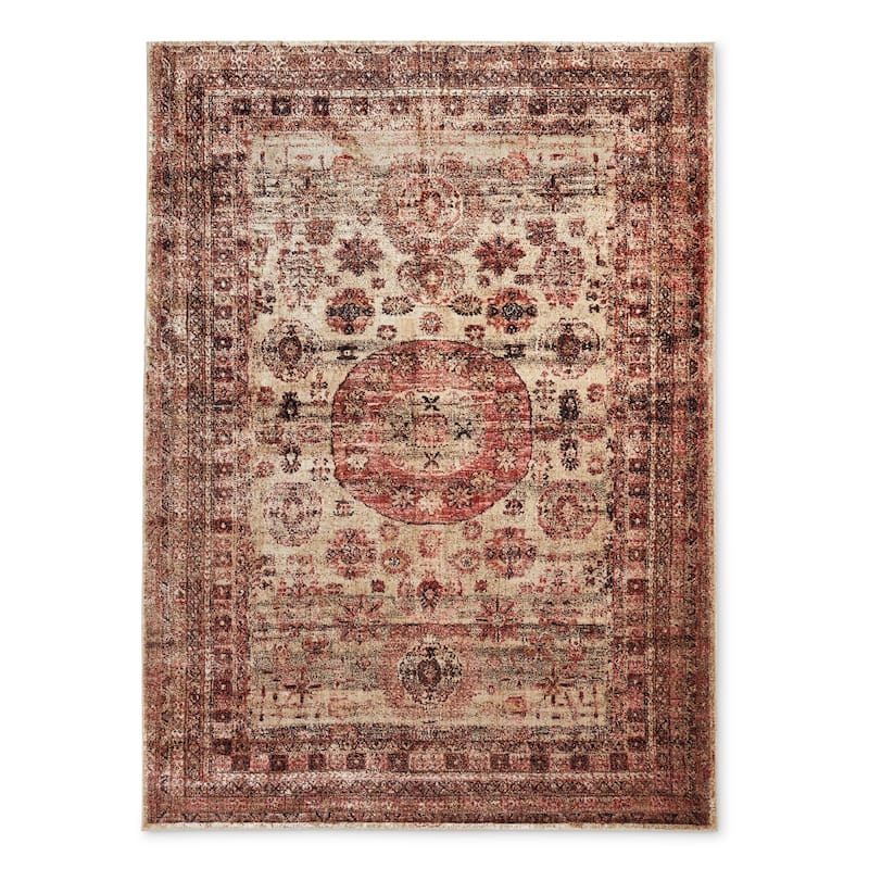 Alexander Home Contessa Traditional Medallion Distressed Rug