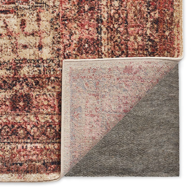Alexander Home Contessa Traditional Medallion Distressed Rug