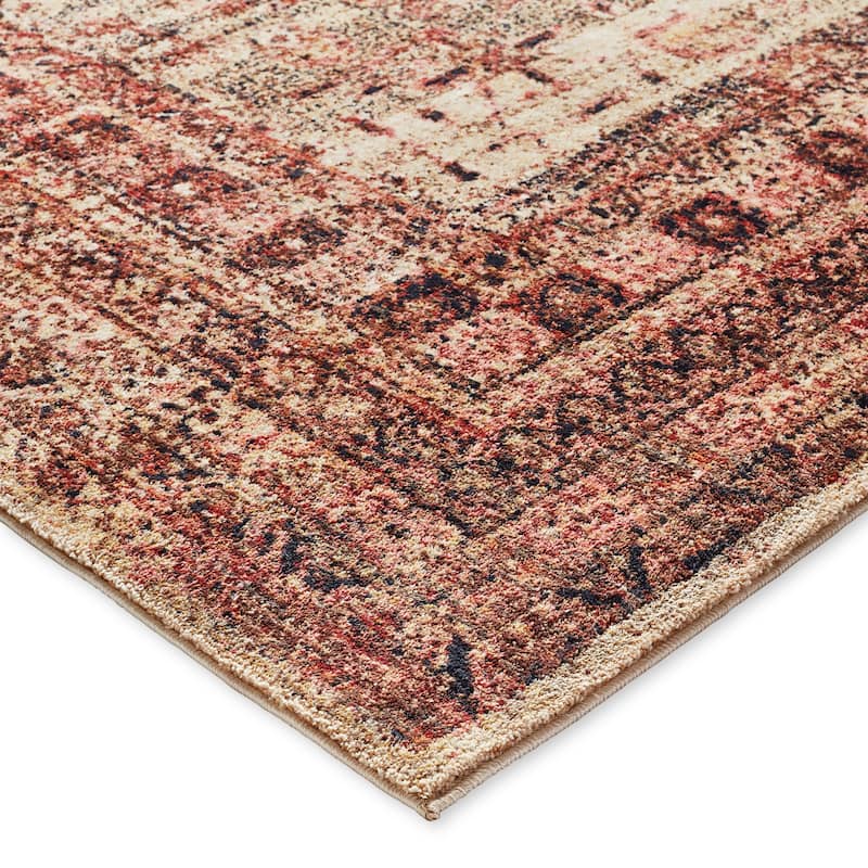Alexander Home Contessa Traditional Medallion Distressed Rug