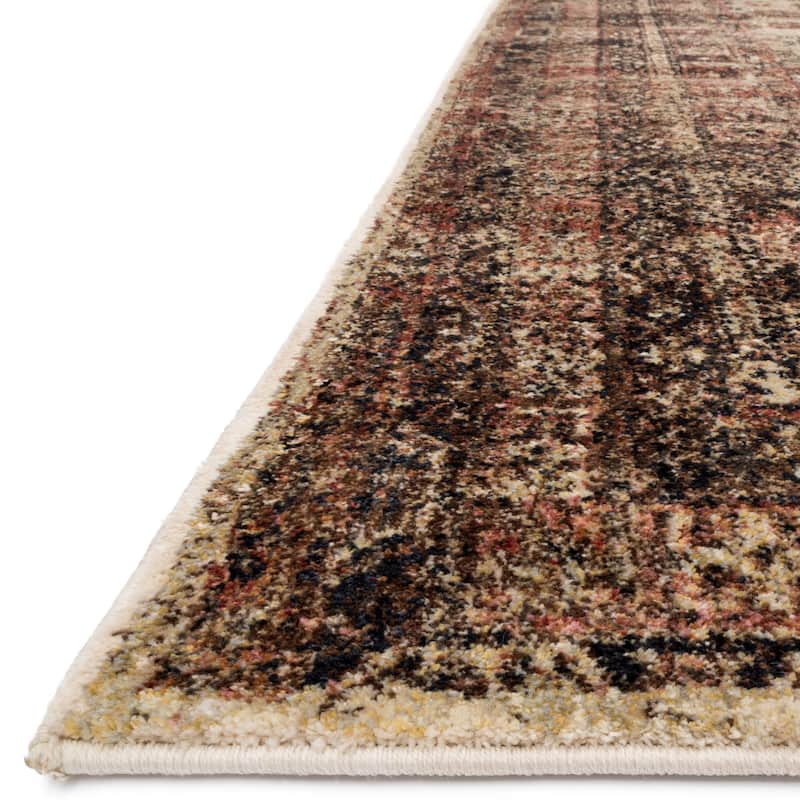 Alexander Home Contessa Traditional Medallion Distressed Rug