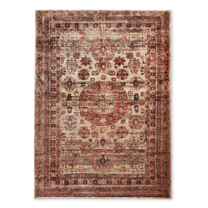 Alexander Home Contessa Traditional Medallion Distressed Rug