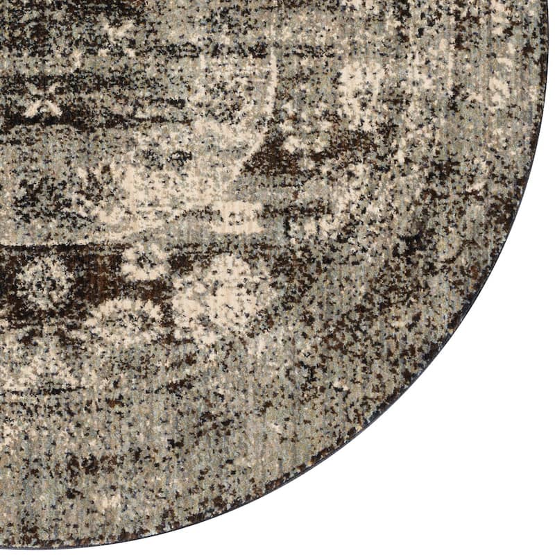 Alexander Home Contessa Traditional Medallion Distressed Rug