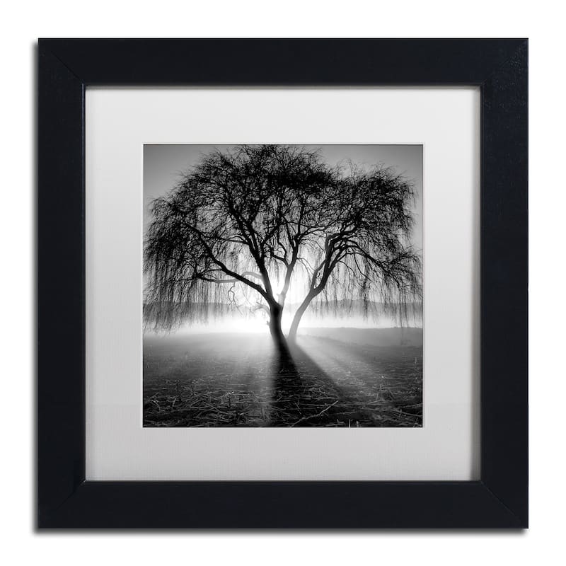 Moises Levy Lightning Tree I Matted Framed Wall Art