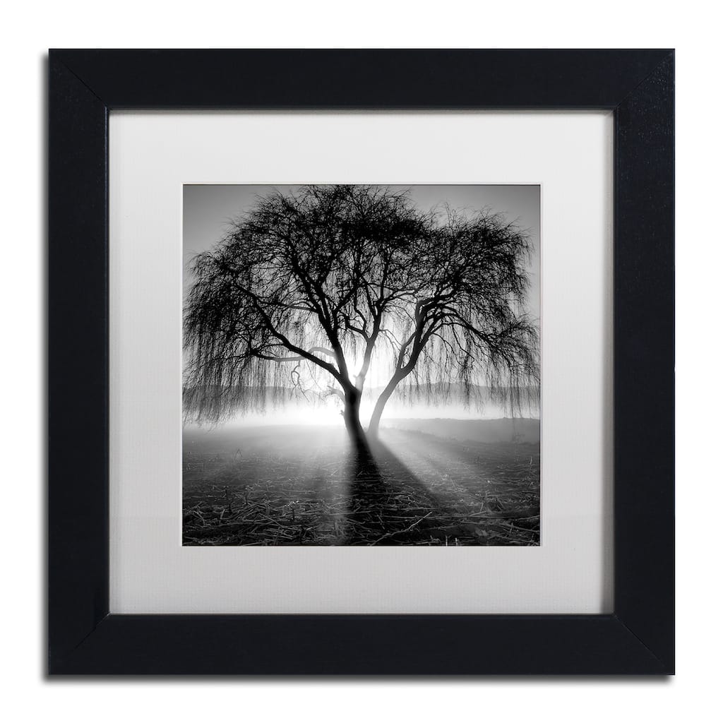 Moises Levy Lightning Tree I Matted Framed Wall Art