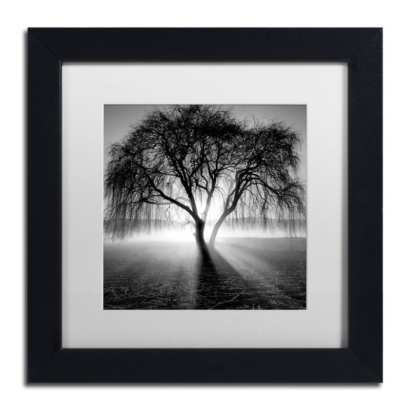 Moises Levy Lightning Tree I Matted Framed Wall Art