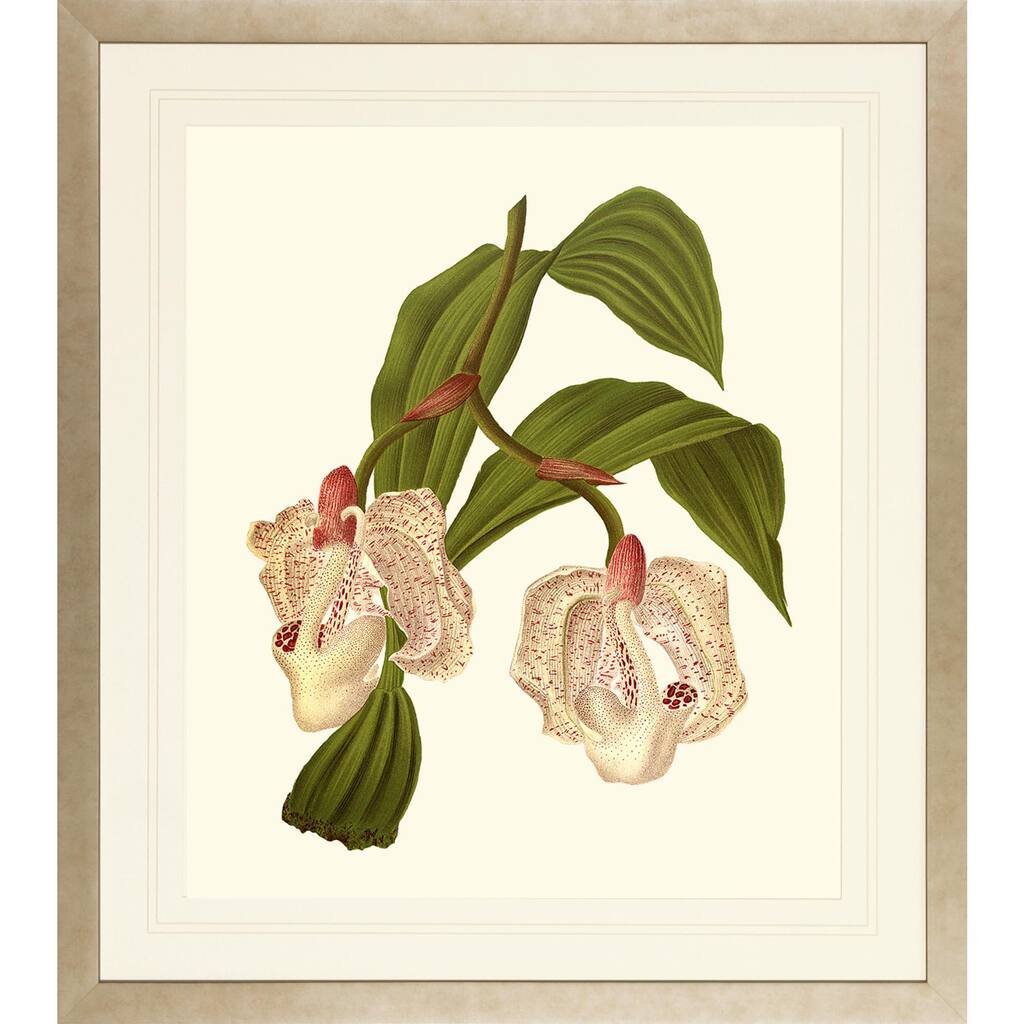 Orchids on Light Cream Framed Art Print I - Hazy Gold Finish