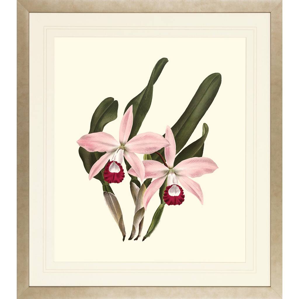 Orchids on Light Cream Framed Art Print III - Hazy Gold Finish