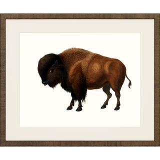 American Mammals Framed Art Print III | Overstock.com Shopping - The ...