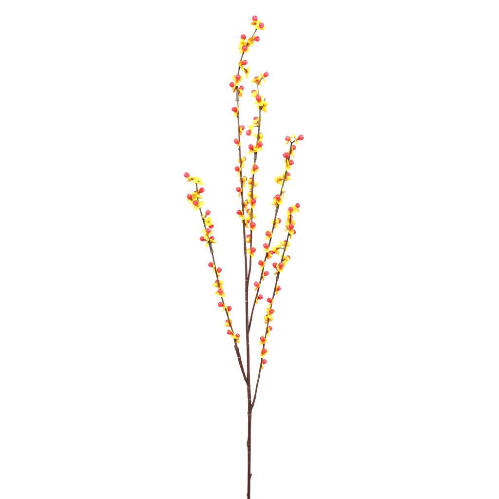 Bittersweet Vine Stem