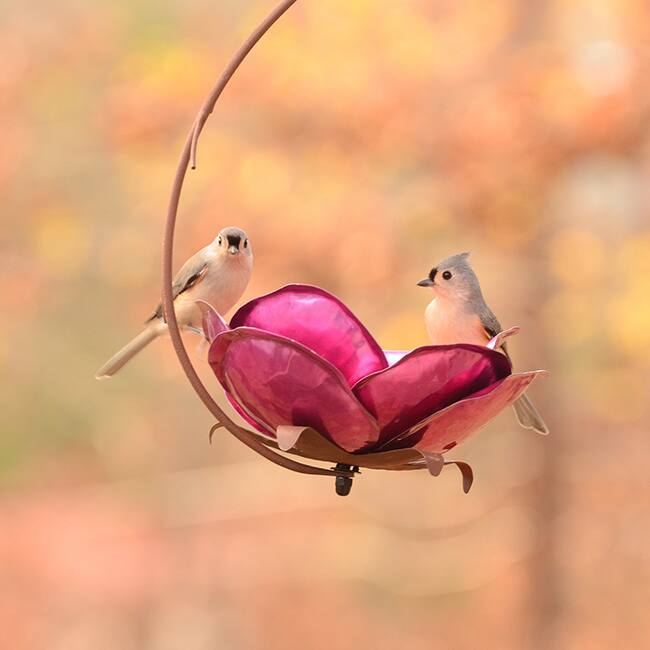 Crab Apple Blossom Bird Feeder