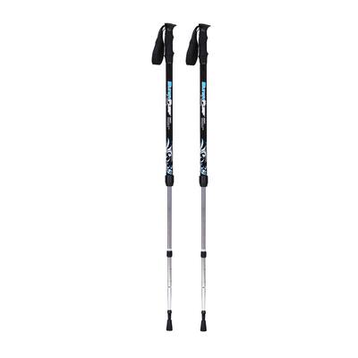 Original Bungypump Energy Fitness Walking Poles with 13.2-pounds of Built-in Resistance