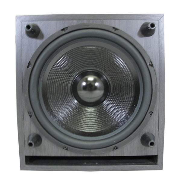 acoustic 12 inch speakers