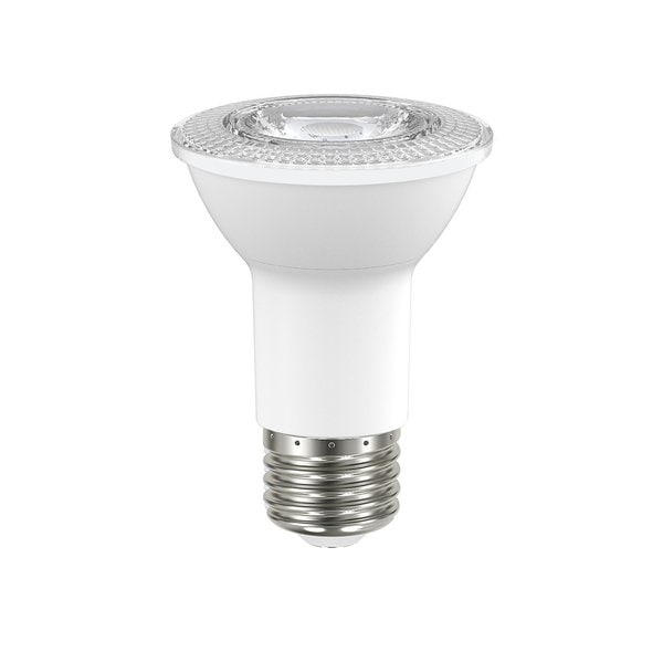 par 10 light bulb