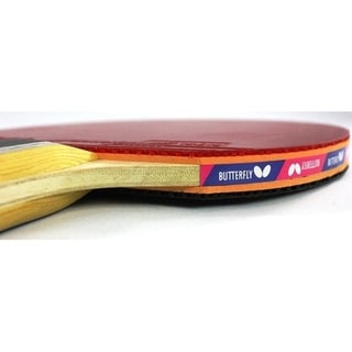 Butterfly 603 Table Tennis Racket Set with Ping Pong Paddle Case