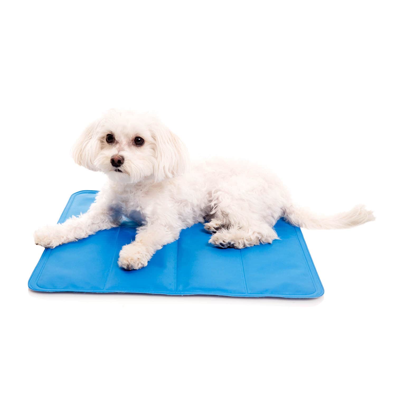 phase changing cooling pads for dogs