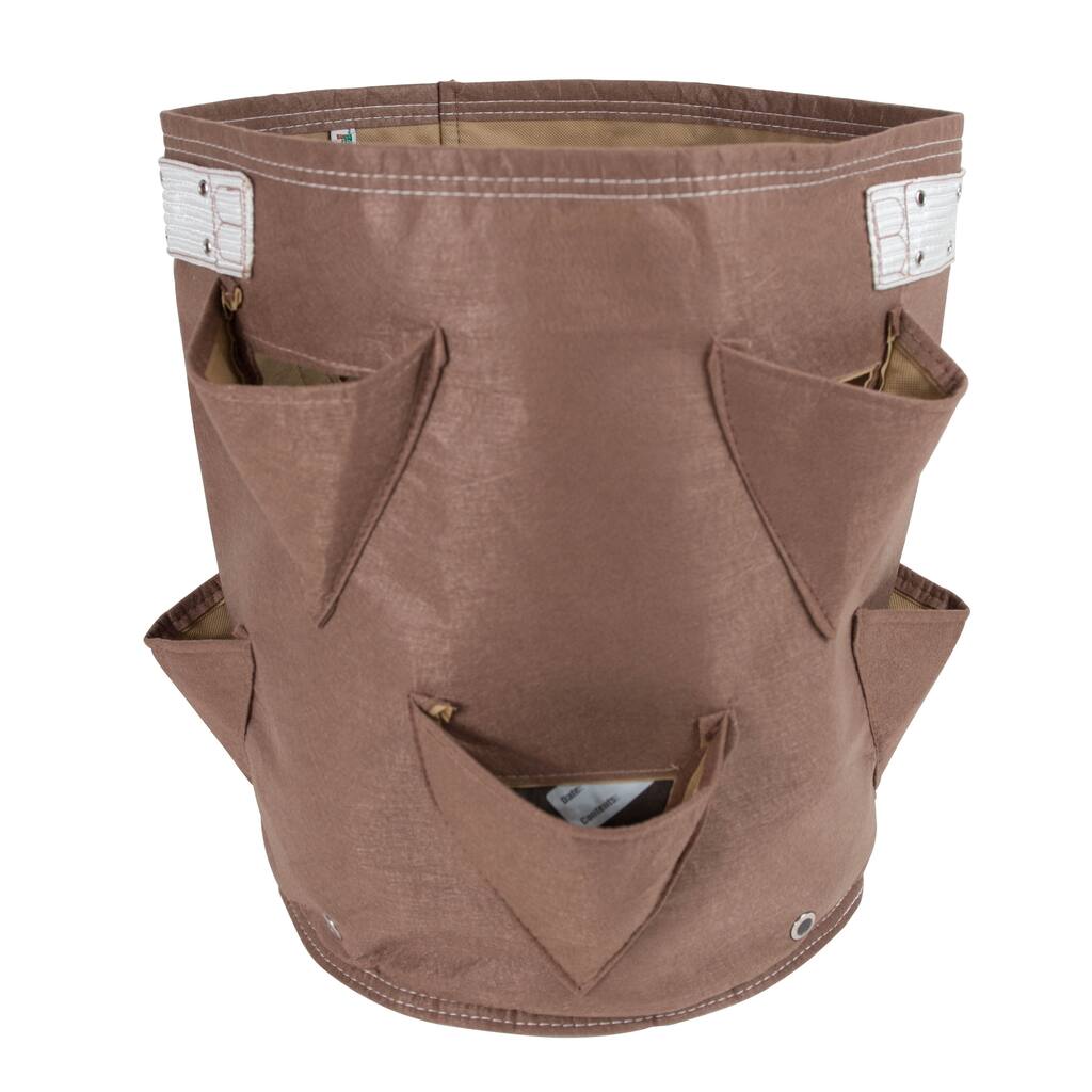 BloemBagz Curated Strawberry Planter