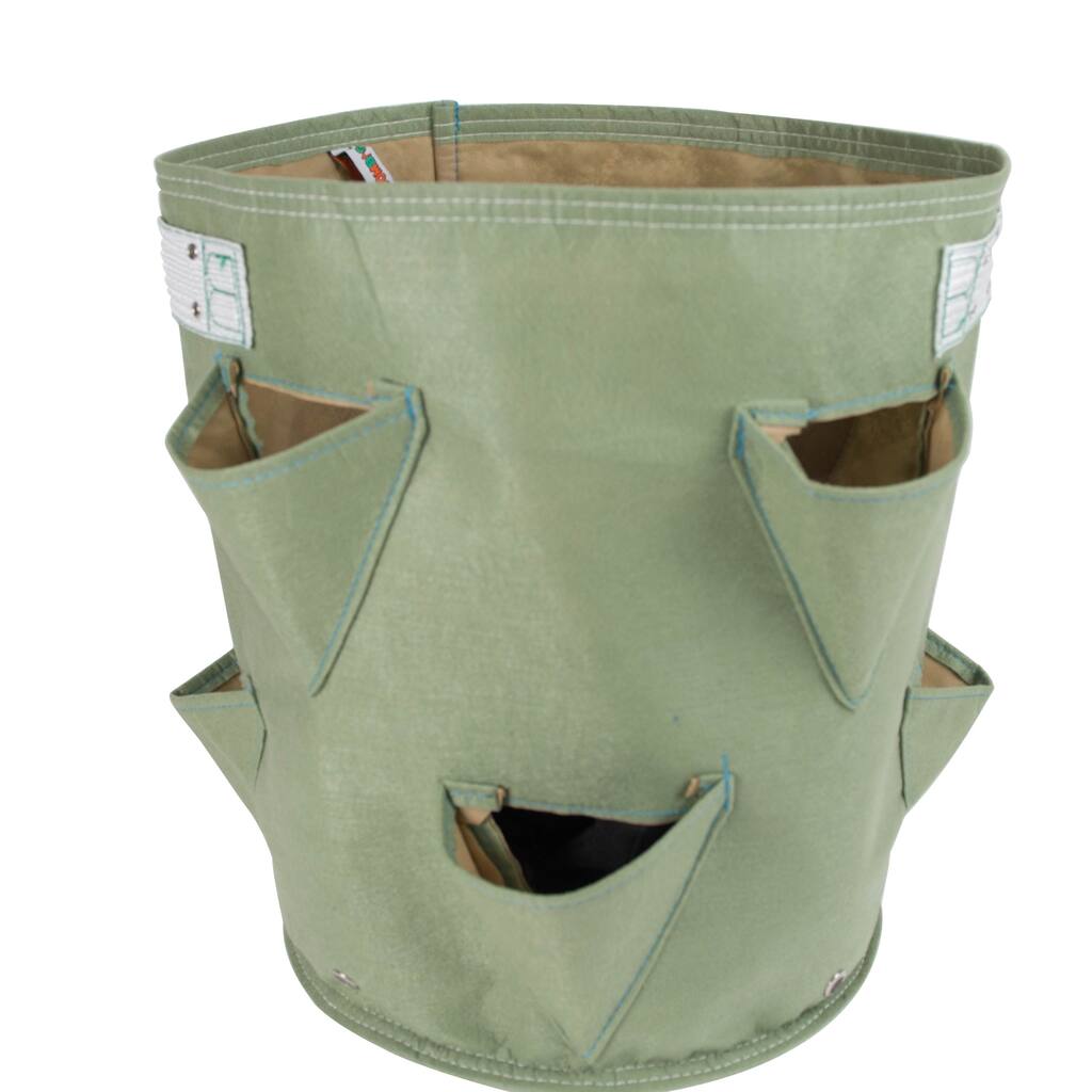 BloemBagz Living Green Strawberry Planter