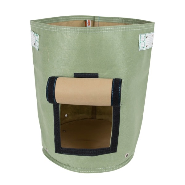 Bloembagz Living Green Potato Planter On Sale Overstock