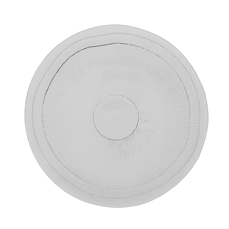 French Home Set of 4, 11-inch Ice Clear Birch Dinner Plates