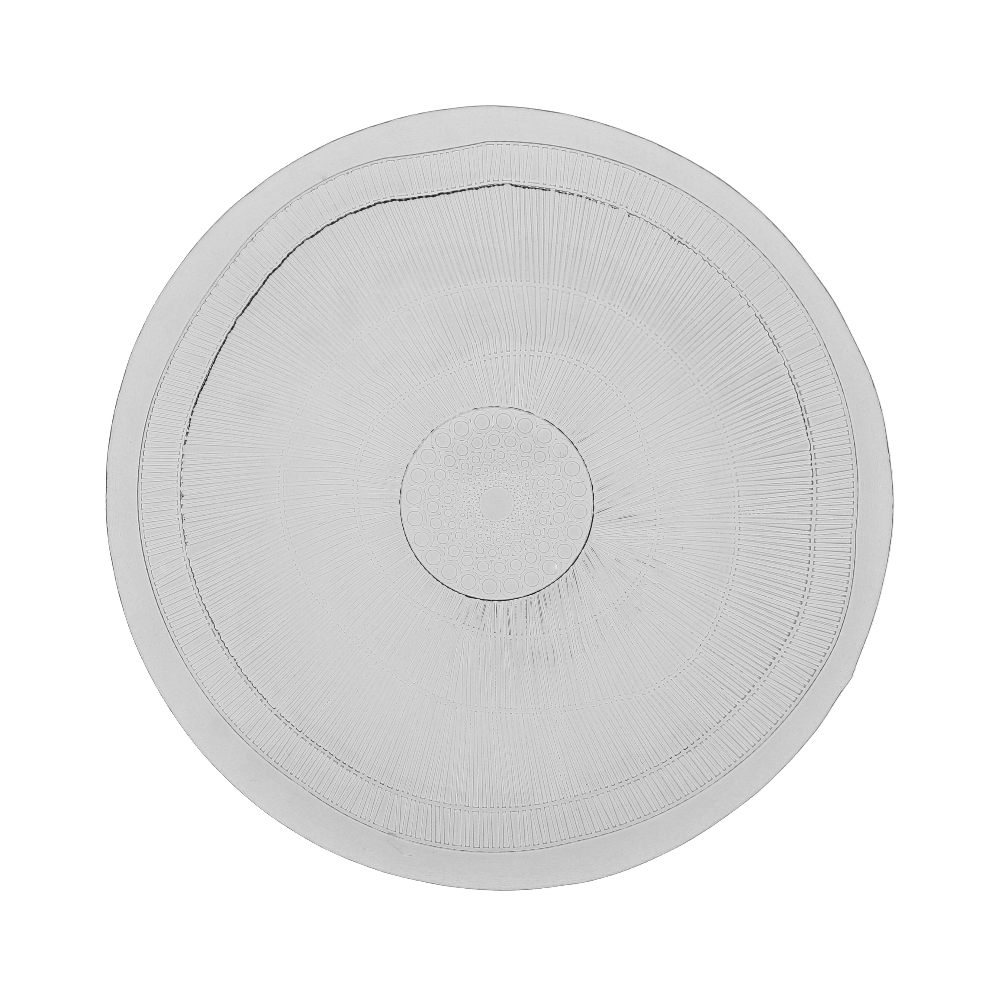 French Home Set of 4, 11-inch Ice Clear Birch Dinner Plates