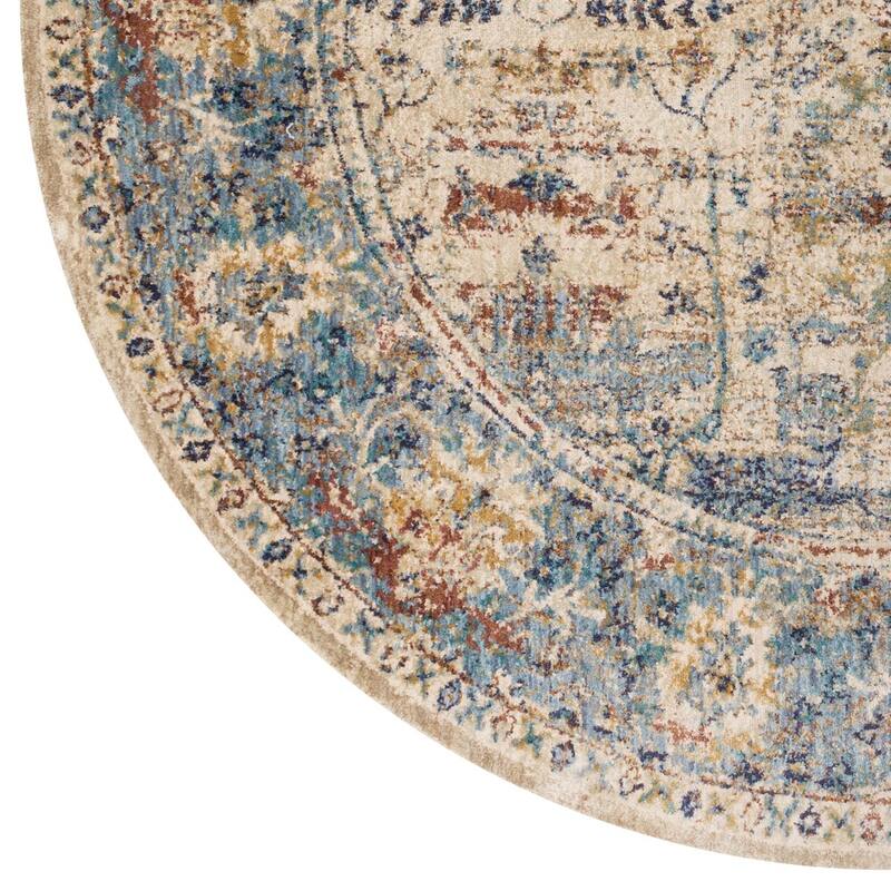 Alexander Home Contessa Traditional Ocean Floral Distressed Rug