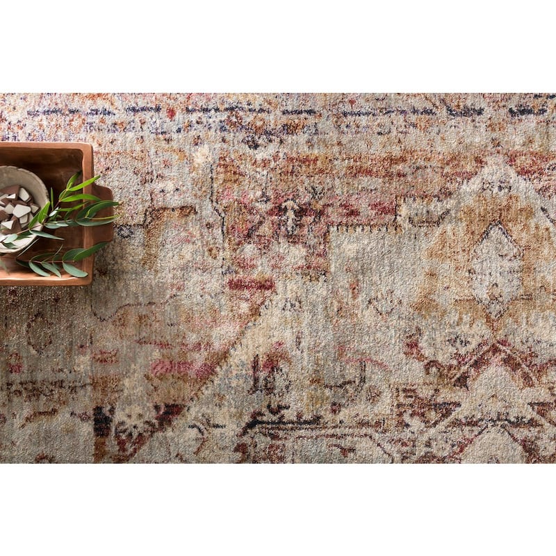 Alexander Home Contessa Traditional Medallion Boho Distressed Rug