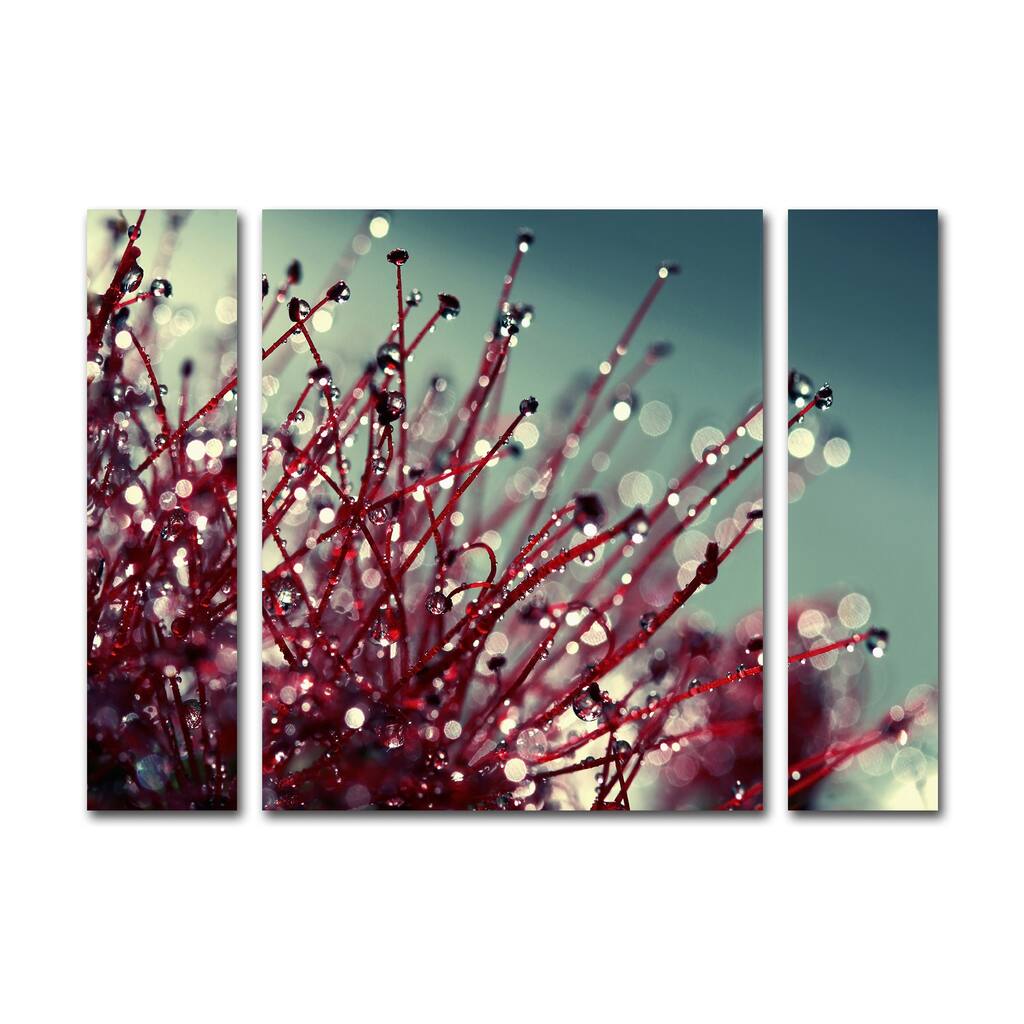 Beata Czyzowska Young 'For You and Me' Three Panel Set Canvas Wall Art - Multi