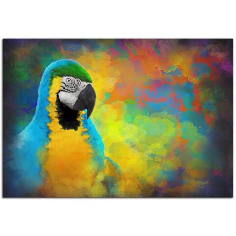 Ben Judd 'Parrot Splotch' Contemporary Rainbow Tropical Bird Art on Metal