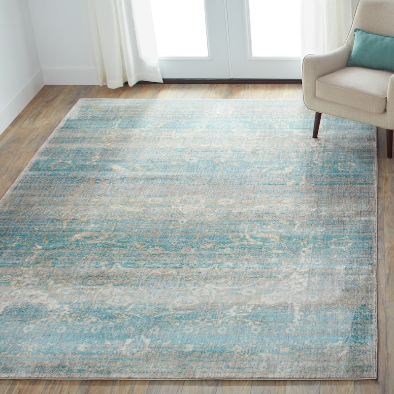 Alexander Home Contessa Traditional Floral Scroll Distressed Rug