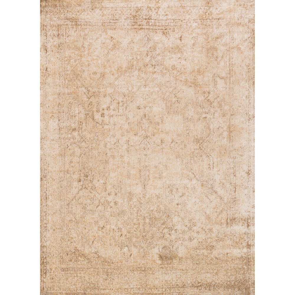 Alexander Home Contessa Shabby Chic Medallion Distressed Rug