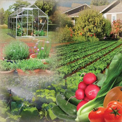 Riverstone Industries Genesis Customizable Portable Sprinkler Watering System