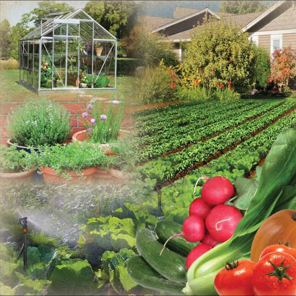 Riverstone Industries Genesis Customizable Portable Sprinkler Watering System