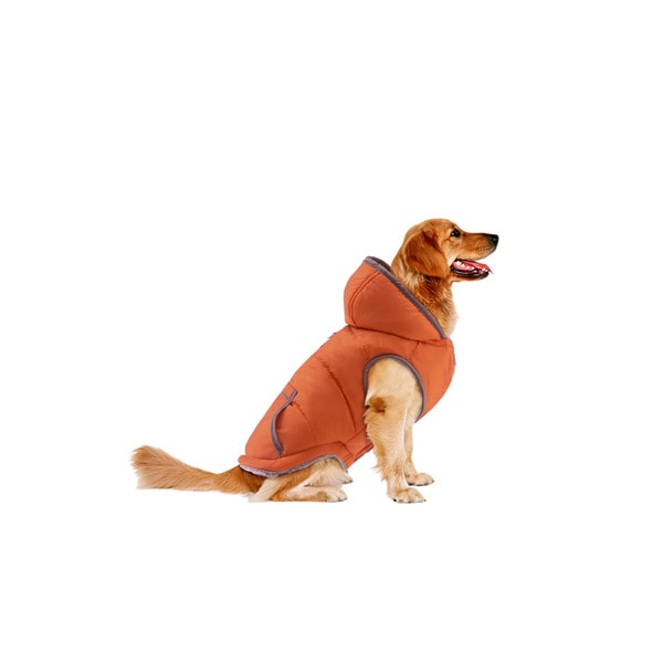 track and tail dog jacket