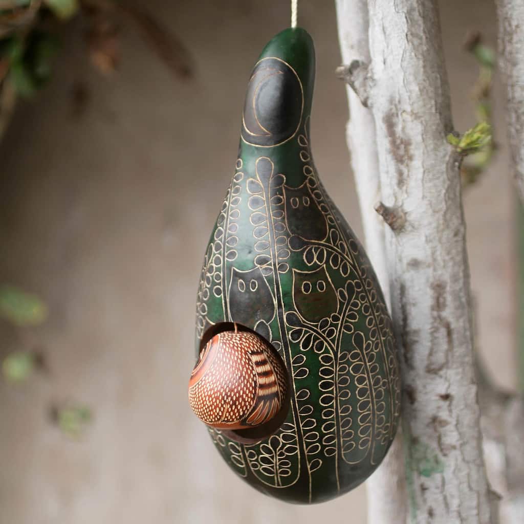 Handmade Mate Gourd 'Emerald Owl' Birdhouse (Peru)