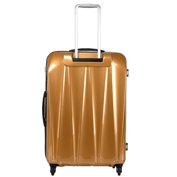 trident luggage