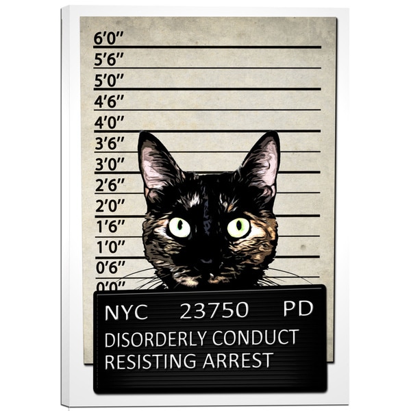 Cortesi Home Kitty Mugshot by Nicklas Gustafsson Giclee Canvas Wall