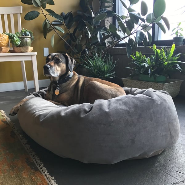 https://ak1.ostkcdn.com/images/products/10908532/Majestic-Pet-Villa-Collection-40-Marine-Micro-velvet-Bagel-style-Pet-Bed-As-Is-Item-168e8ba2-575e-4501-ba2c-ce17511900ea_600.jpg?impolicy=medium