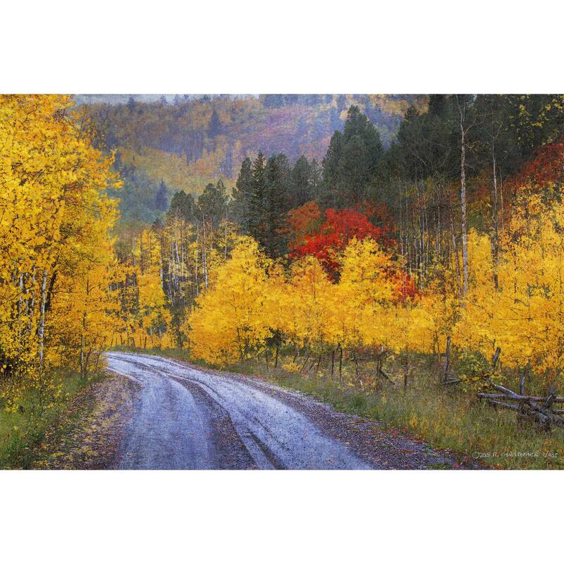 Marmont Hill - Wet Road Peak of Autumn by Chris Vest Painting Print on Canvas - Multi-Color