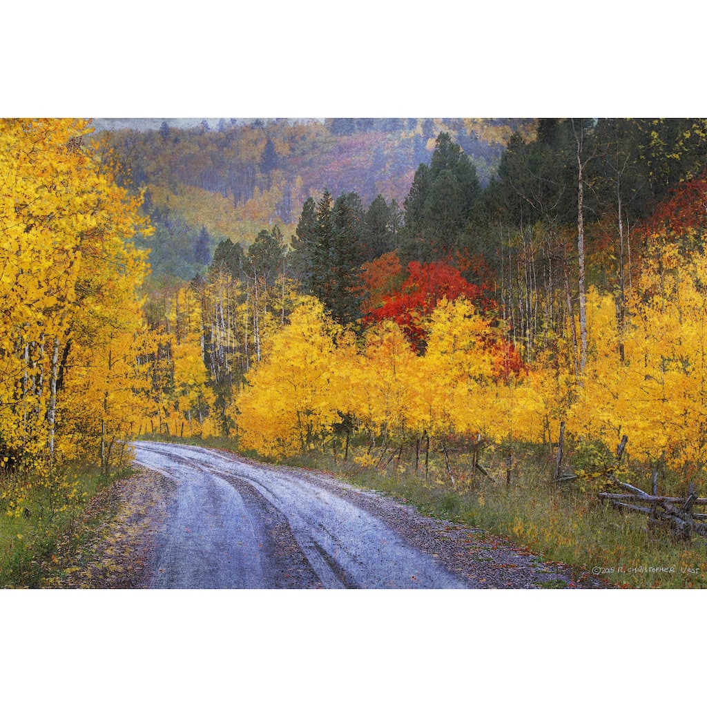 Marmont Hill - Wet Road Peak of Autumn by Chris Vest Painting Print on Canvas - Multi-Color