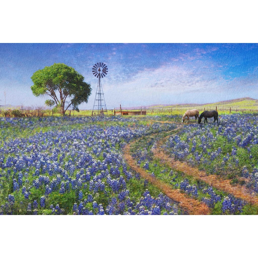 Marmont Hill - Windmill Landscape by Chris Vest Painting Print on Canvas - Multi-Color