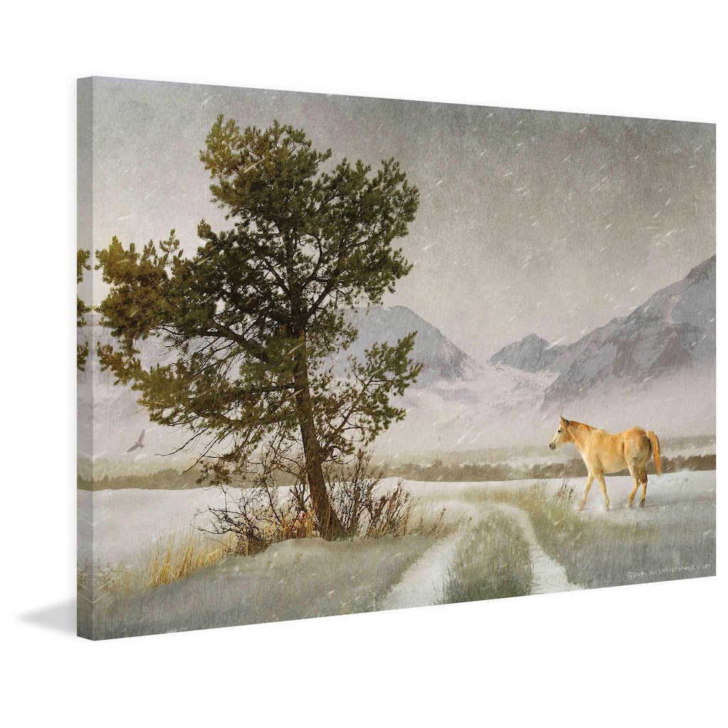 Marmont Hill - Lonely Horse by Chris Vest Painting Print on Canvas - Multi-Color