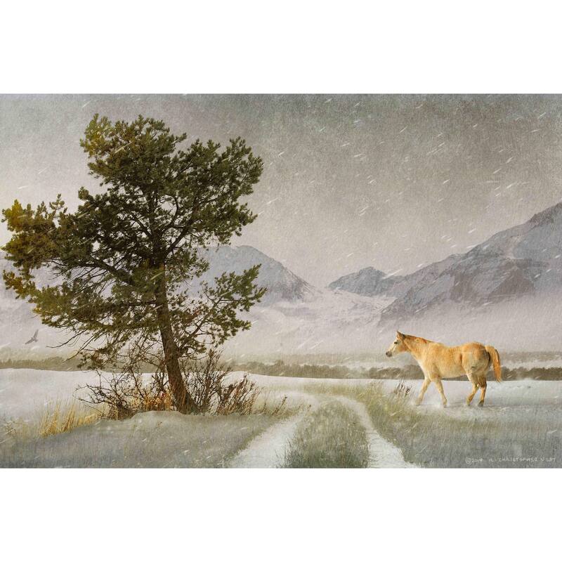 Marmont Hill - Lonely Horse by Chris Vest Painting Print on Canvas - Multi-Color - 30 x 20
