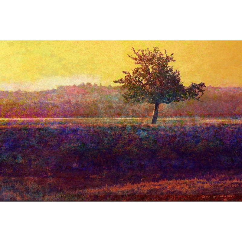Marmont Hill - Lone Tree Sunset by Chris Vest Painting Print on Canvas - Multi-Color