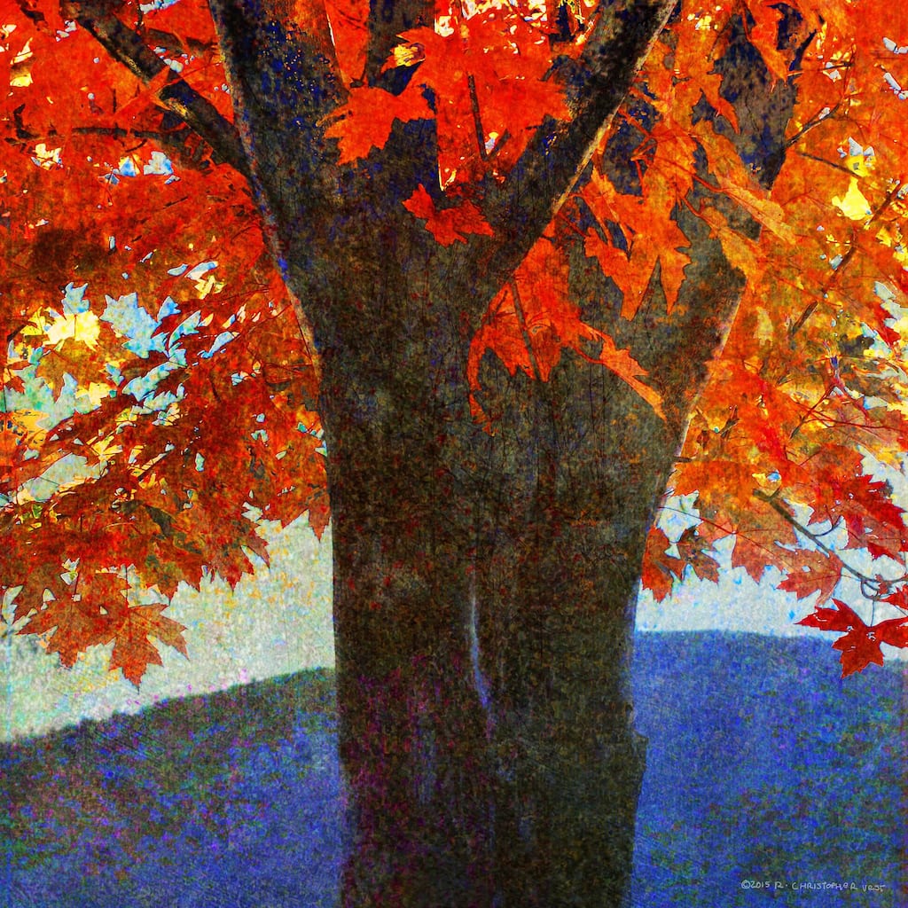 Marmont Hill - Brilliant Fall Maple I by Chris Vest Painting Print on Canvas - Multi-Color