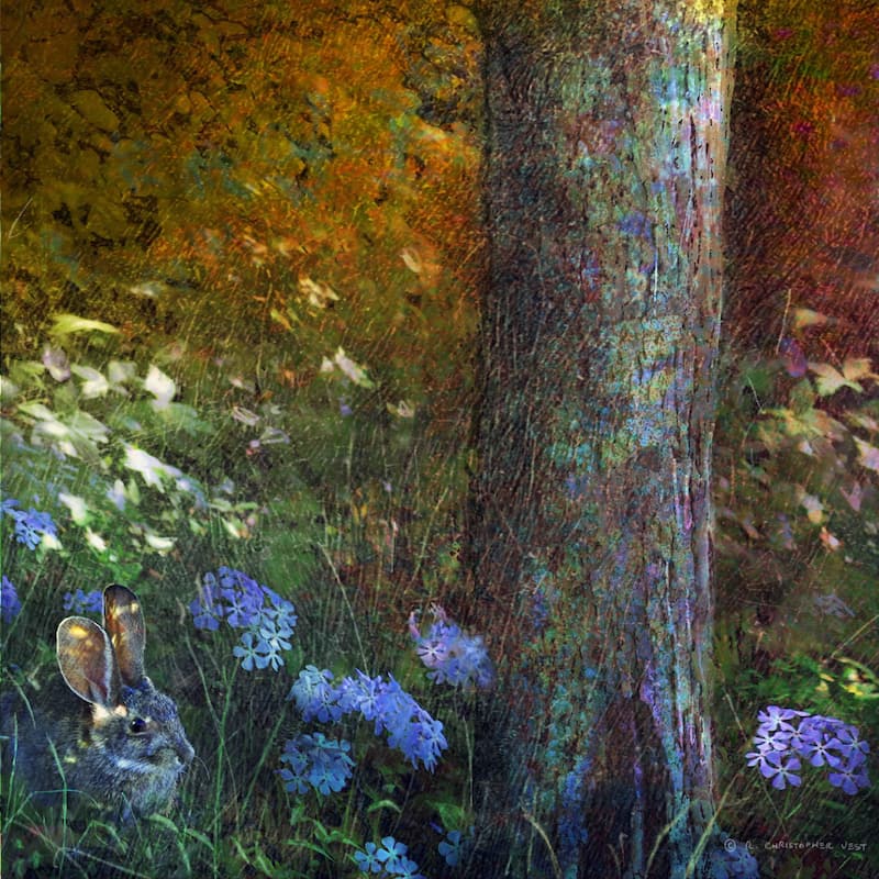 Marmont Hill - Forest Bunny by Chris Vest Painting Print on Canvas