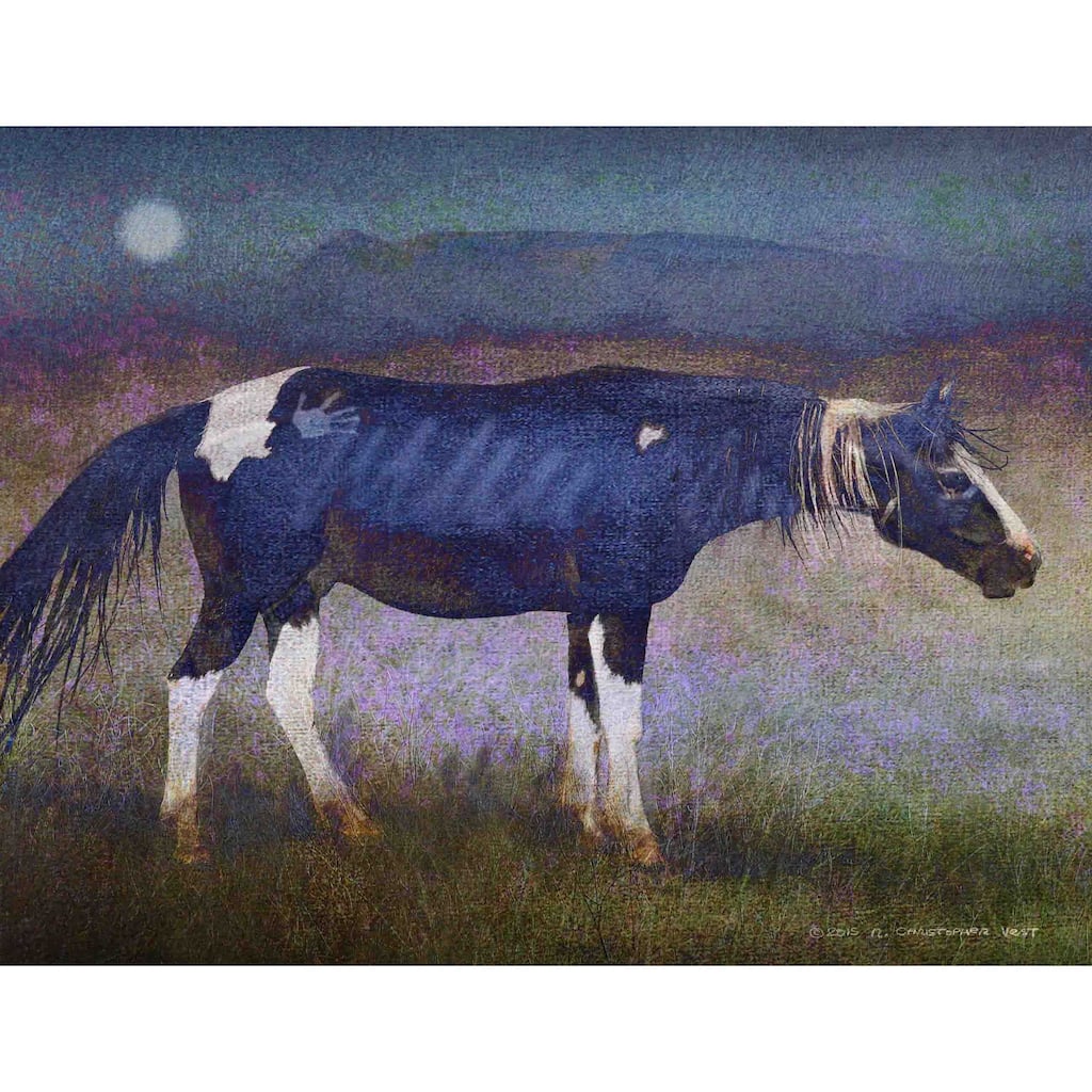 Marmont Hill - Black Horse by Chris Vest Painting Print on Canvas - Multi-Color